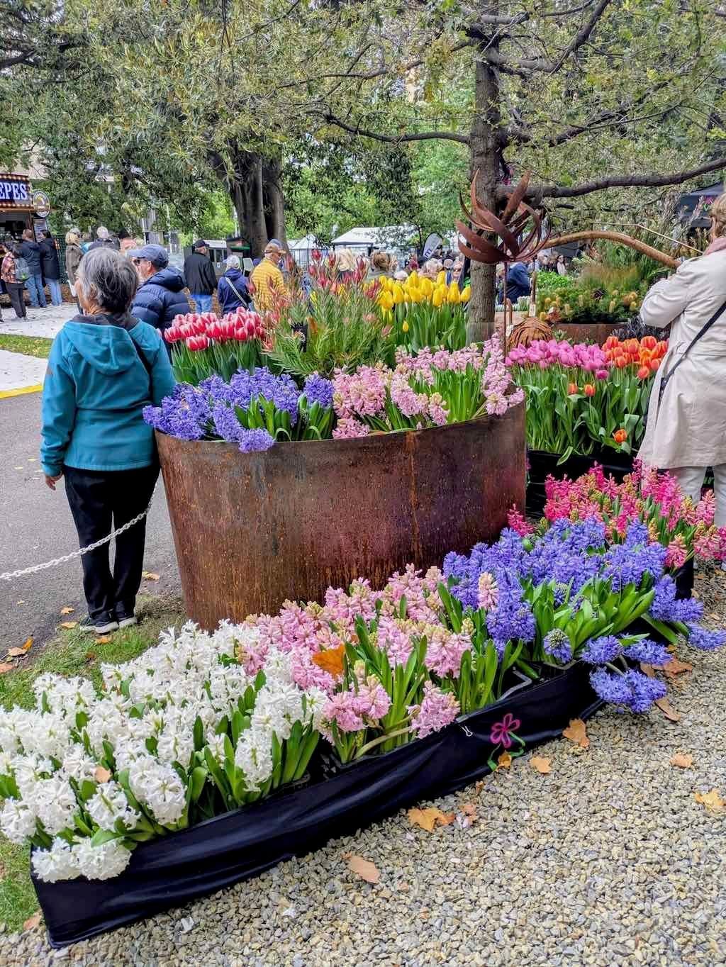 Melbourne Garden Show : 2026 Image -69d9c0fa8765b