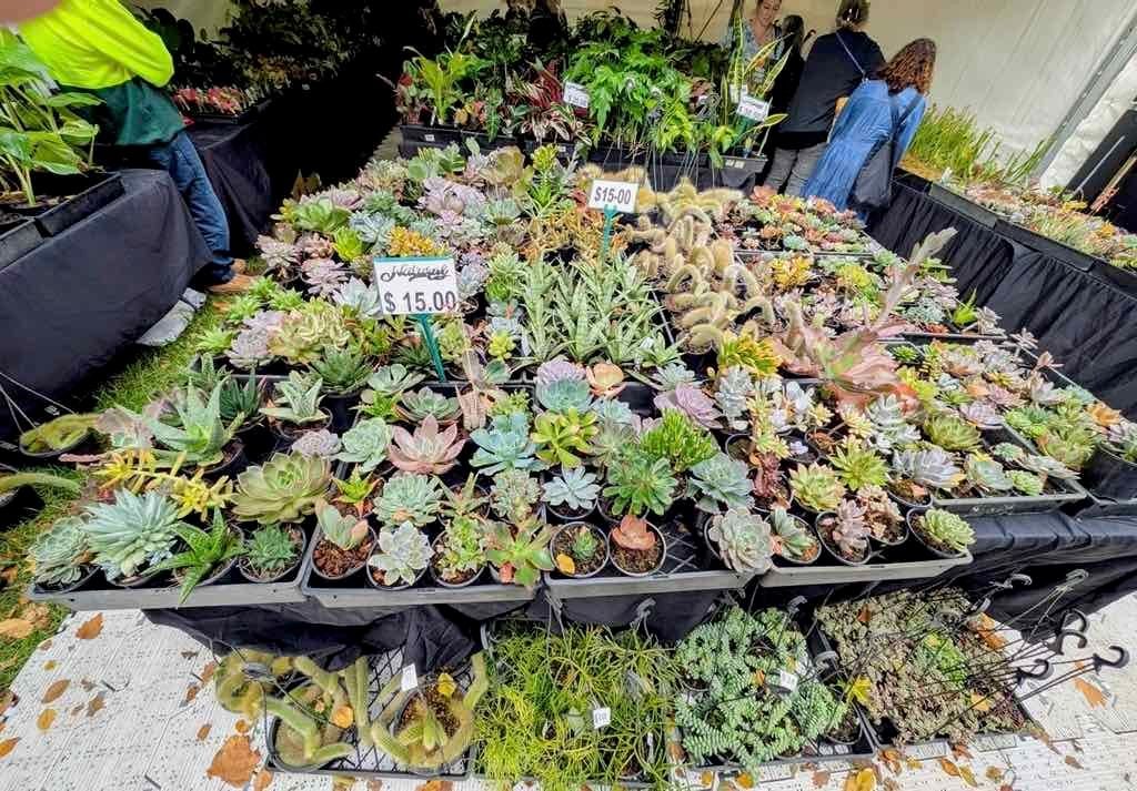 Melbourne Garden Show : 2026 Image -69d9c0fc3e655