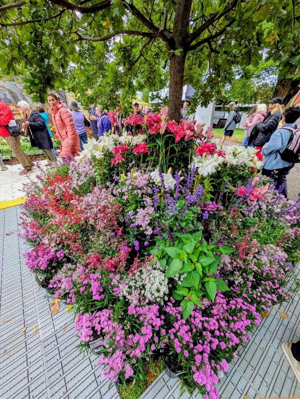 Melbourne Garden Show : 2026 Image -69d9c0fce92fd