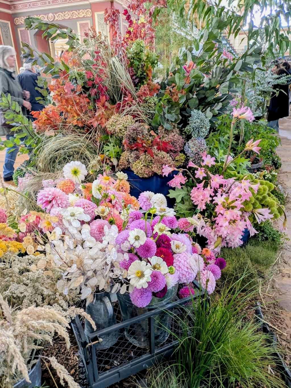 Melbourne Garden Show : 2026 Image -69d9c101687e1