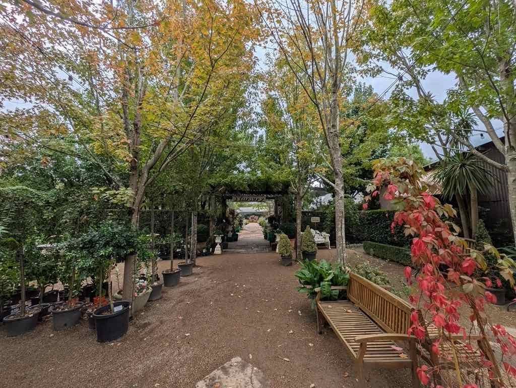 Melbourne Garden Show : 2026 Image -69d9c102ea8df