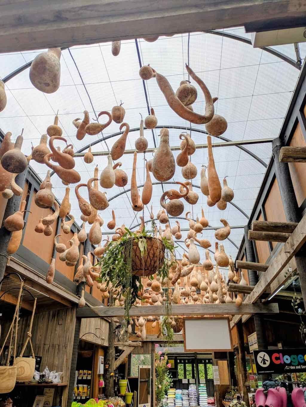 Melbourne Garden Show : 2026 Image -69d9c1033e55e