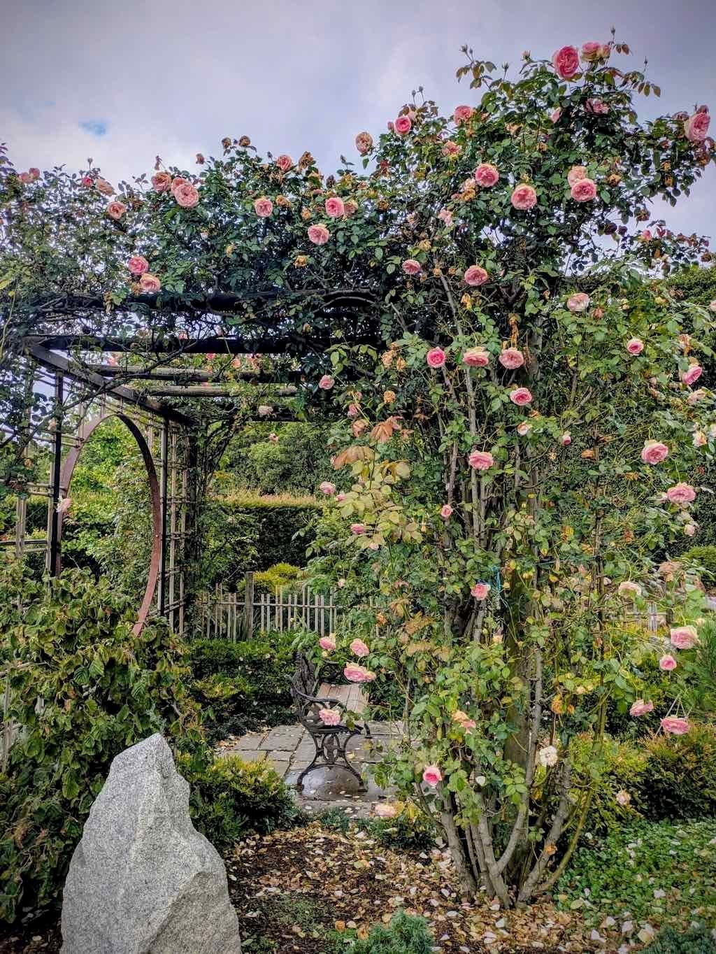 Melbourne Garden Show : 2026 Image -69d9c1054fe18