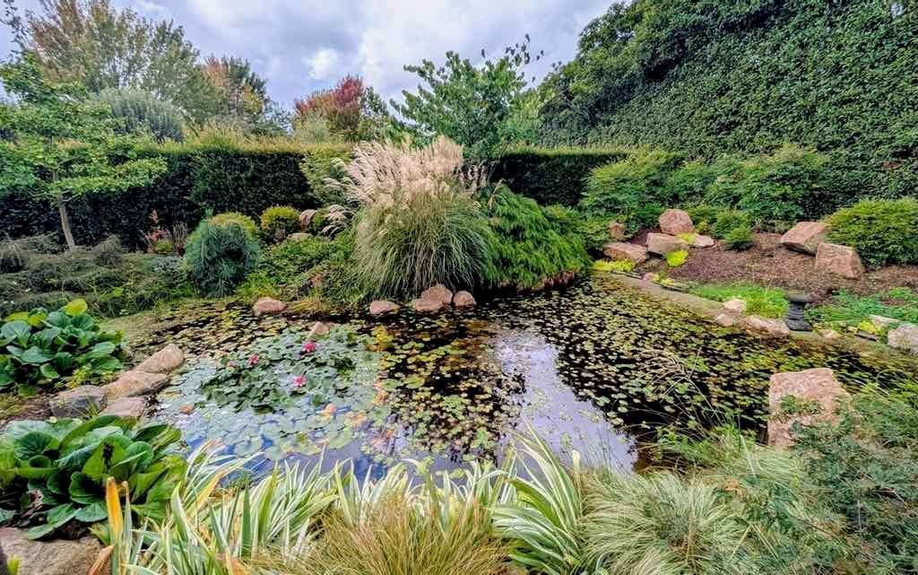 Melbourne Garden Show : 2026 Image -69d9c10597453