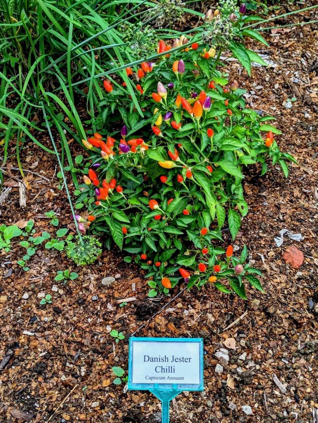 Melbourne Garden Show : 2026 Image -69d9c107aeb14