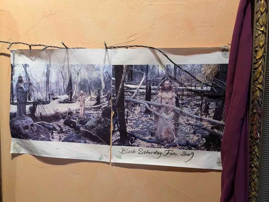 Melbourne Garden Show : 2026 Image -69d9c10c72243