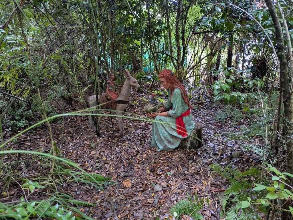 Melbourne Garden Show : 2026 Image -69d9c111afec0