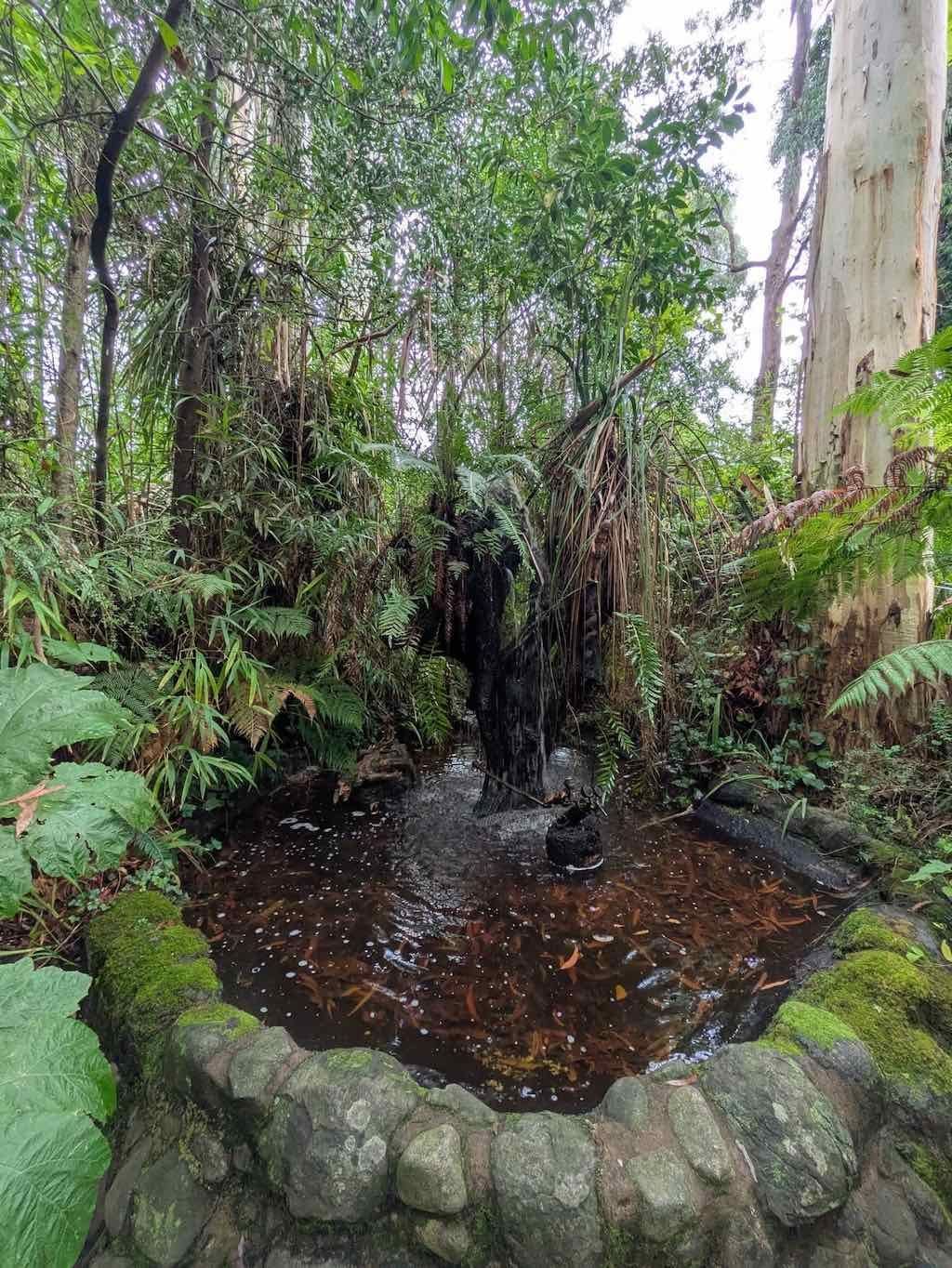 Melbourne Garden Show : 2026 Image -69d9c112f3ac7