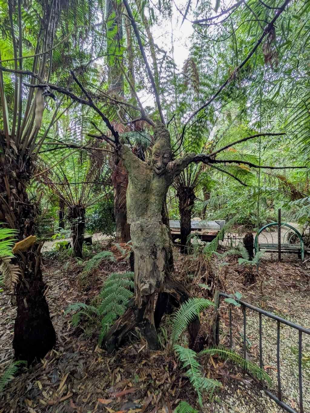 Melbourne Garden Show : 2026 Image -69d9c117d7f62