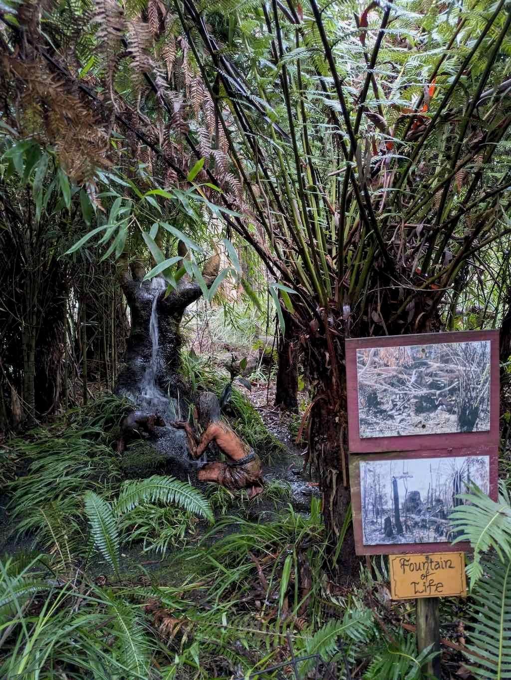 Melbourne Garden Show : 2026 Image -69d9c11bd7ecc