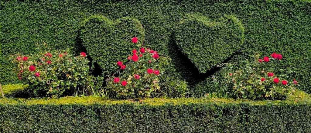 Melbourne Garden Show : 2026 Image -69d9c11d83ad6