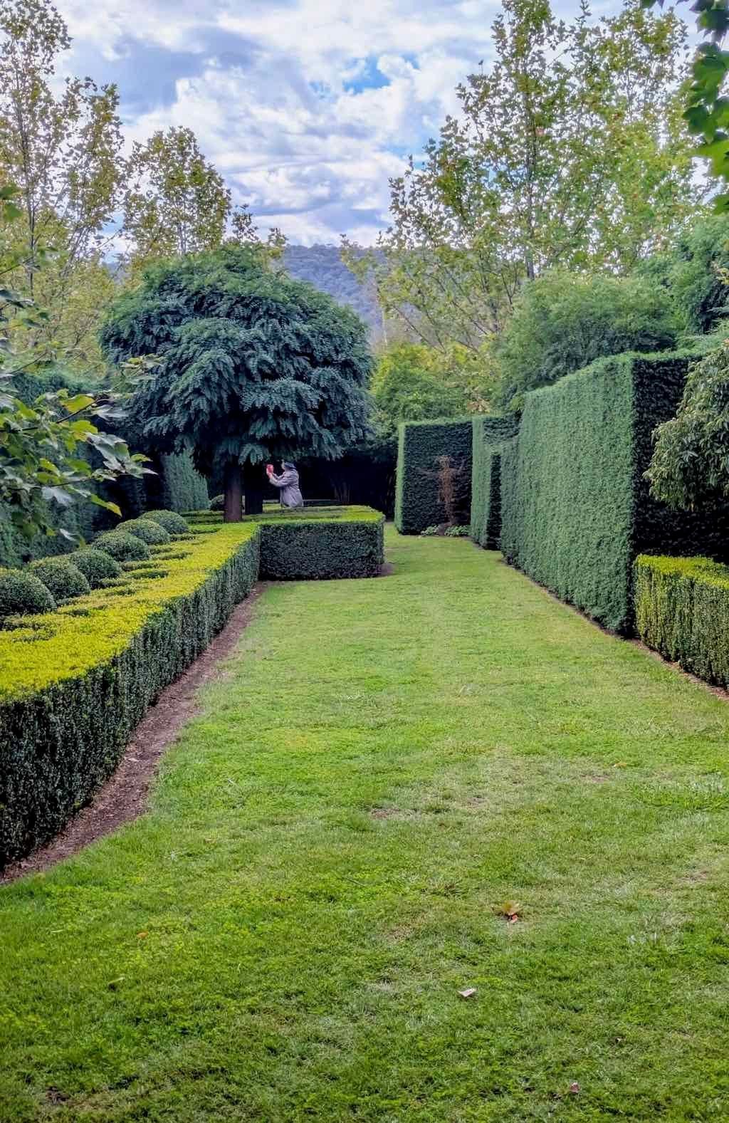 Melbourne Garden Show : 2026 Image -69d9c11e89919