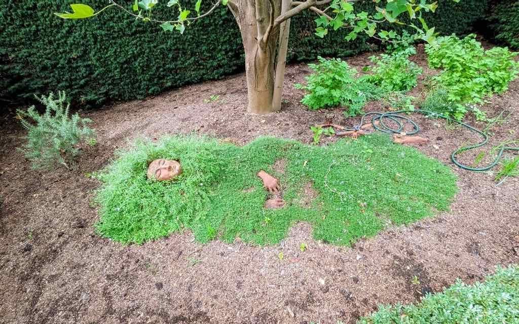 Melbourne Garden Show : 2026 Image -69d9c12112389