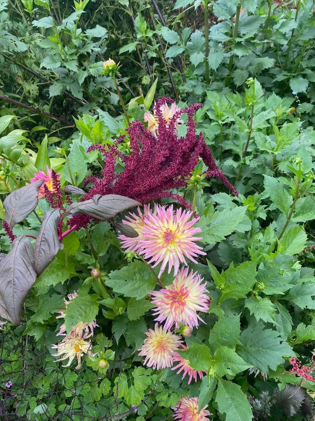 Melbourne Garden Show : 2026 Image -69d9c1220fb20