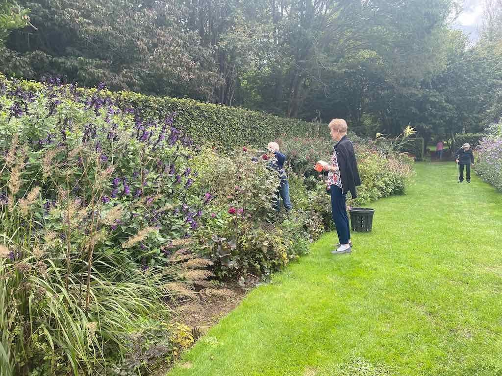 Melbourne Garden Show : 2026 Image -69d9c122f0bcf