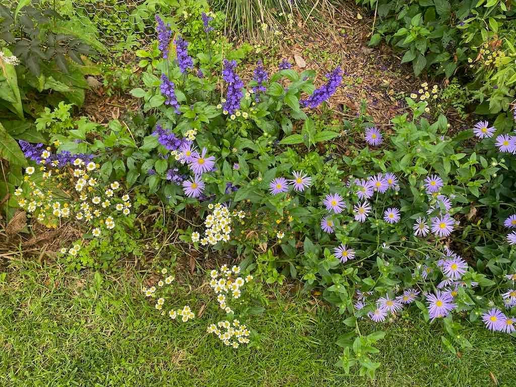 Melbourne Garden Show : 2026 Image -69d9c123520f5