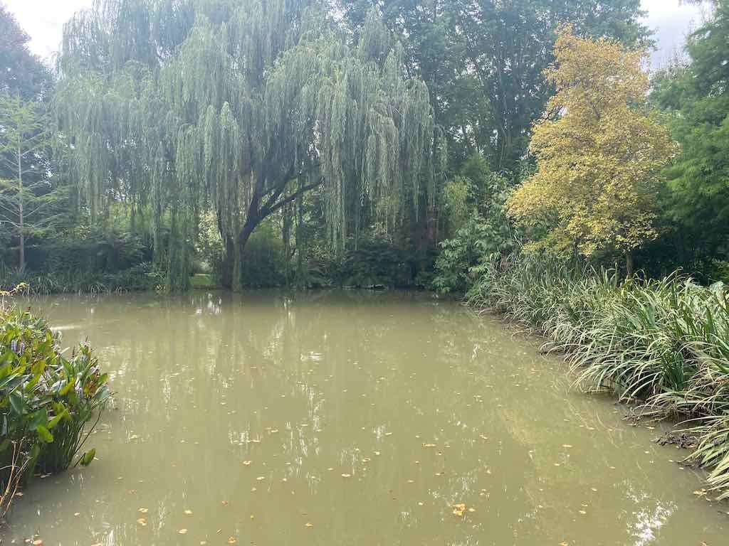 Melbourne Garden Show : 2026 Image -69d9c123ac7bc