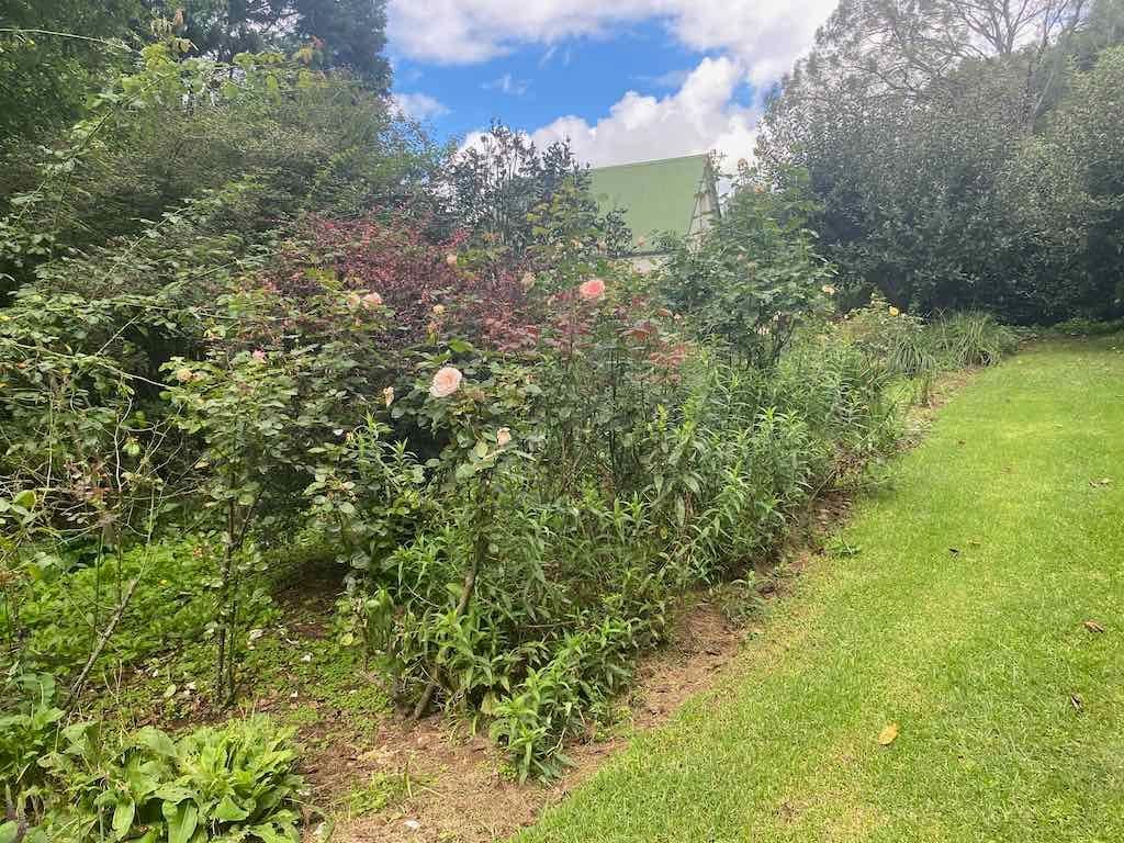 Melbourne Garden Show : 2026 Image -69d9c12594913