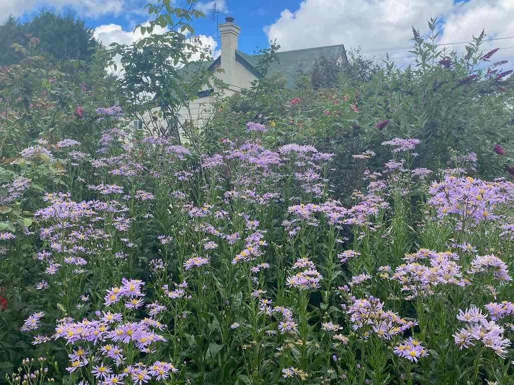 Melbourne Garden Show : 2026 Image -69d9c127521fc