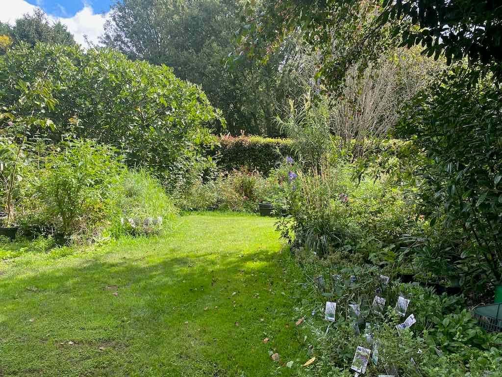 Melbourne Garden Show : 2026 Image -69d9c1285950b