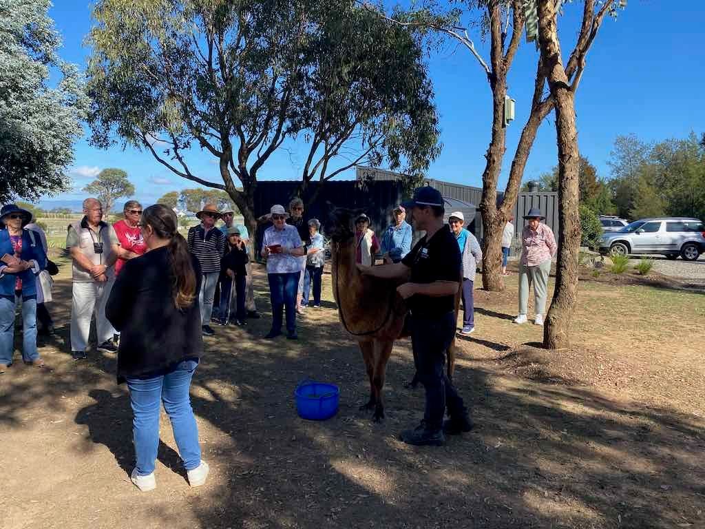 Melbourne Garden Show : 2026 Image -69d9c128ae5ed