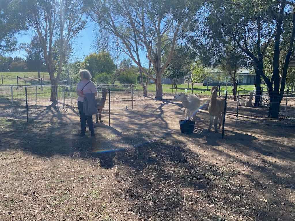 Melbourne Garden Show : 2026 Image -69d9c12904d81