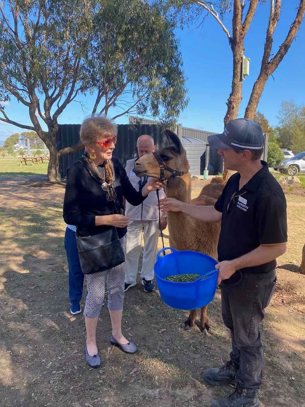 Melbourne Garden Show : 2026 Image -69d9c12977c57