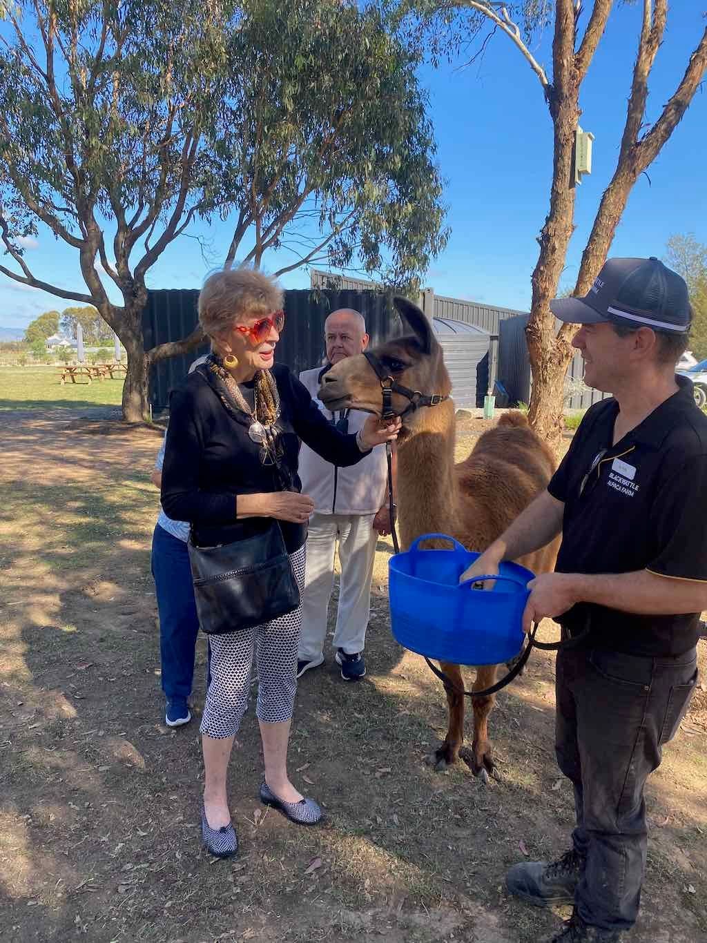 Melbourne Garden Show : 2026 Image -69d9c12a36a28