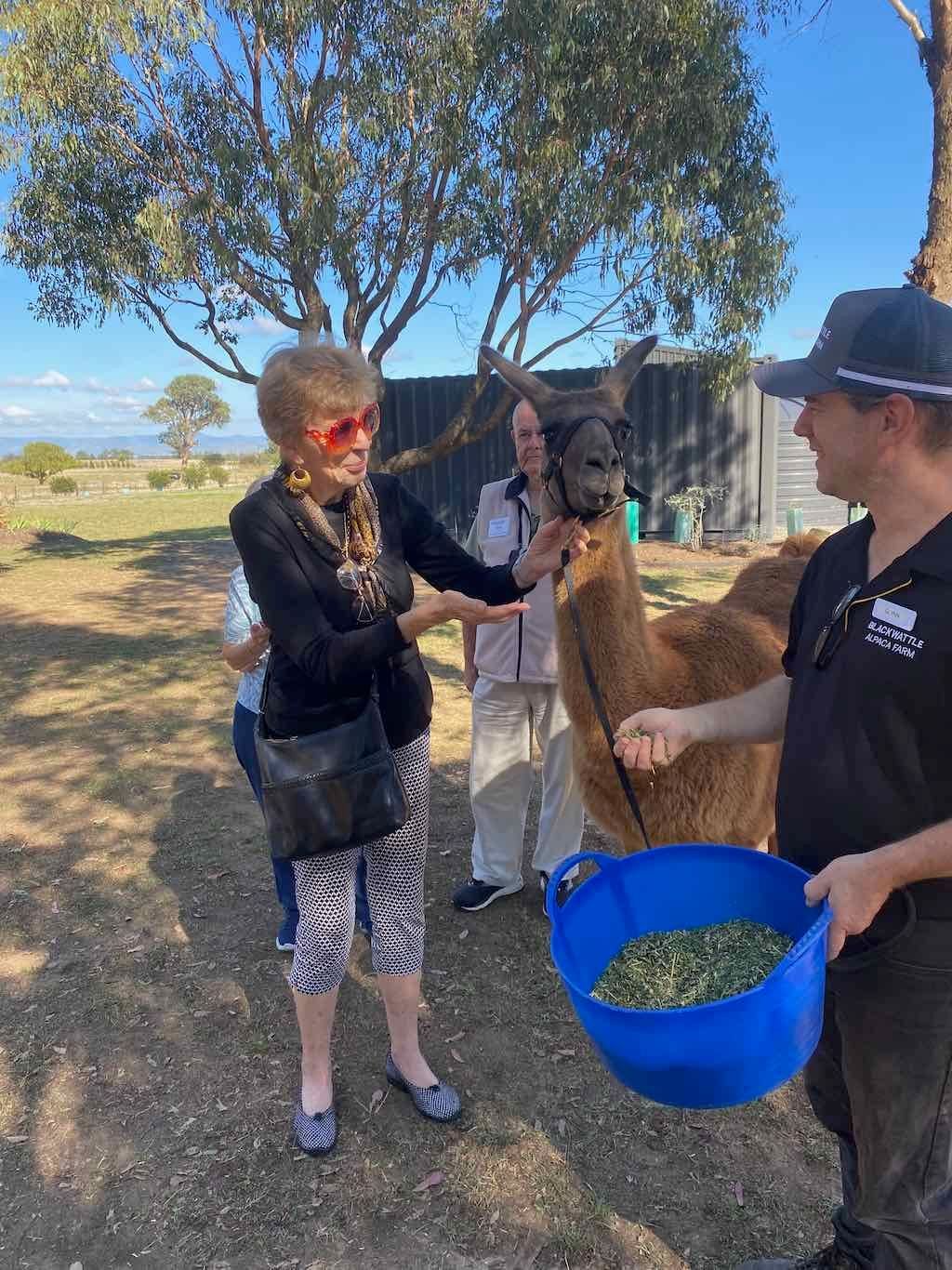 Melbourne Garden Show : 2026 Image -69d9c12aad3c7