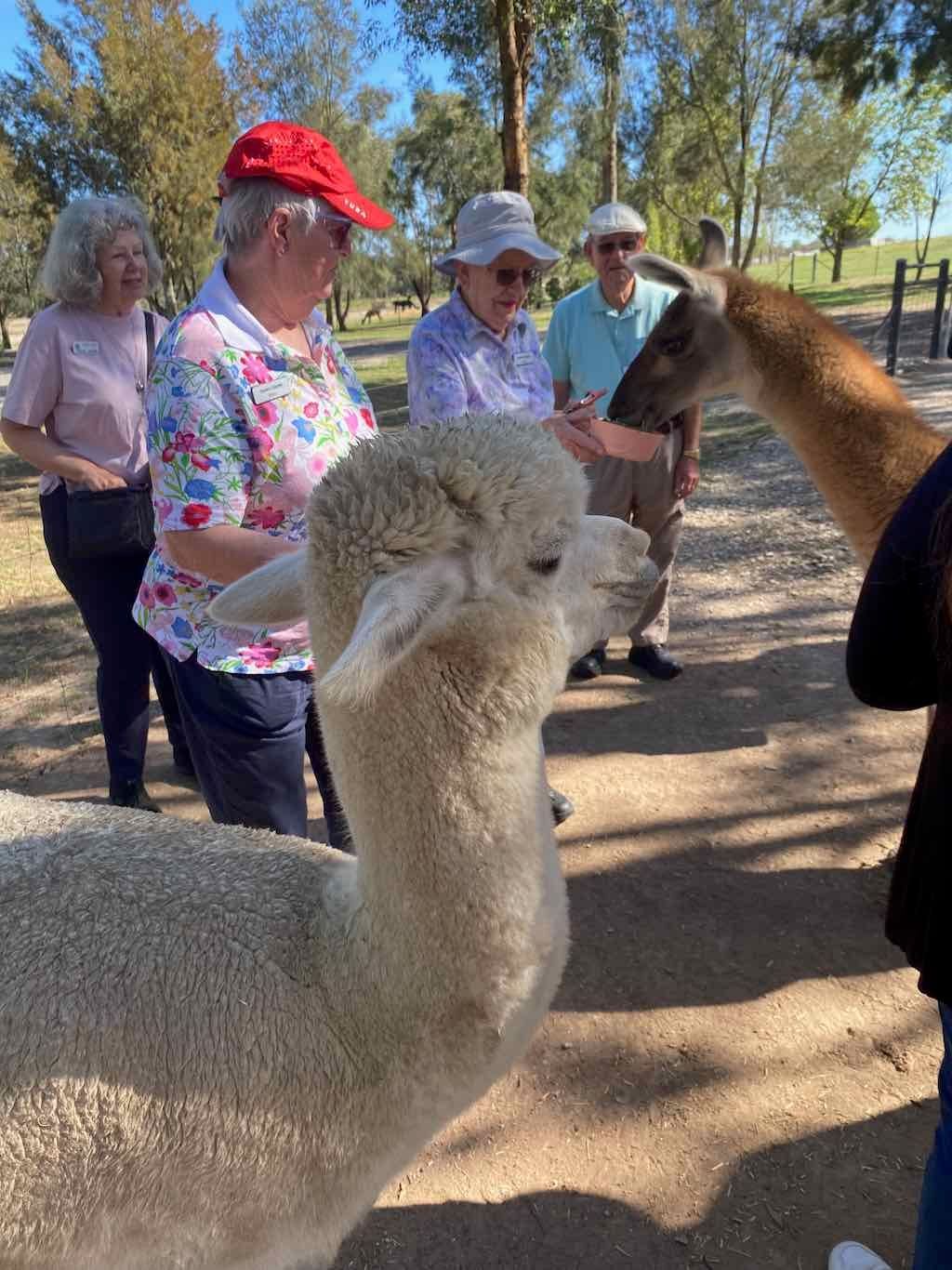 Melbourne Garden Show : 2026 Image -69d9c12b11df3