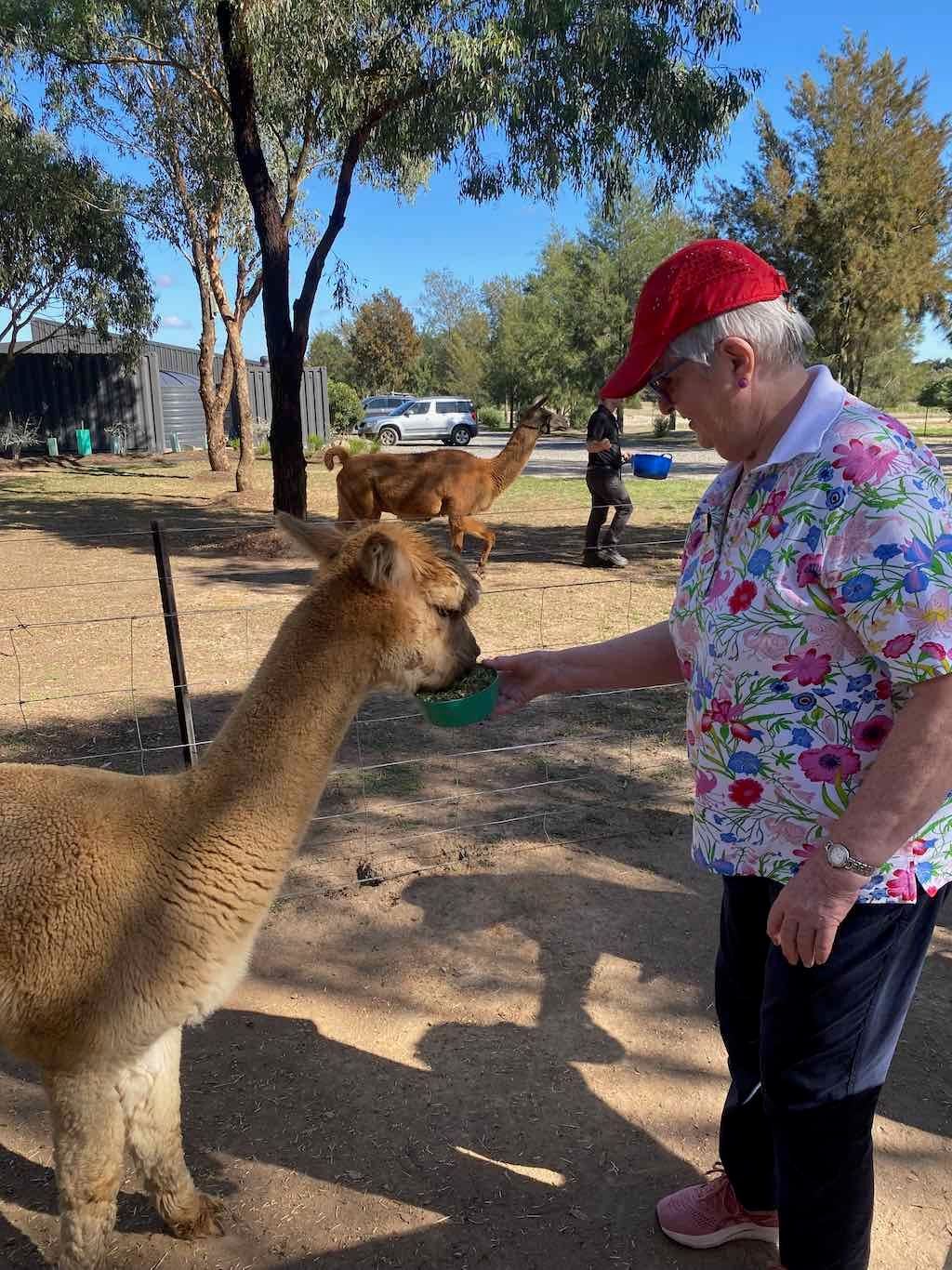 Melbourne Garden Show : 2026 Image -69d9c12b63c22