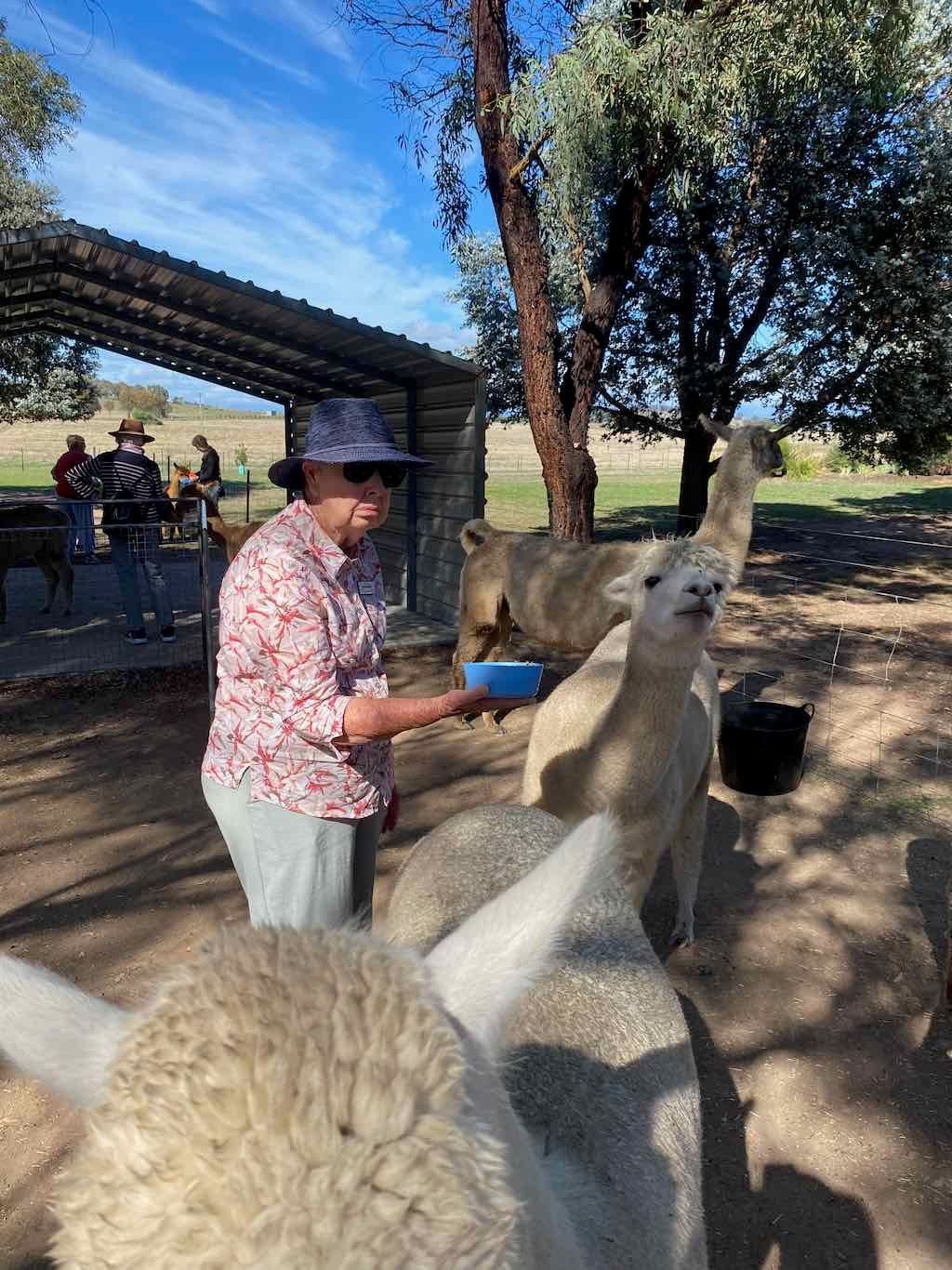 Melbourne Garden Show : 2026 Image -69d9c12c67bf8