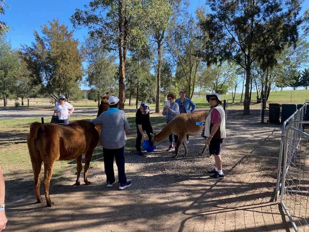 Melbourne Garden Show : 2026 Image -69d9c12d27277
