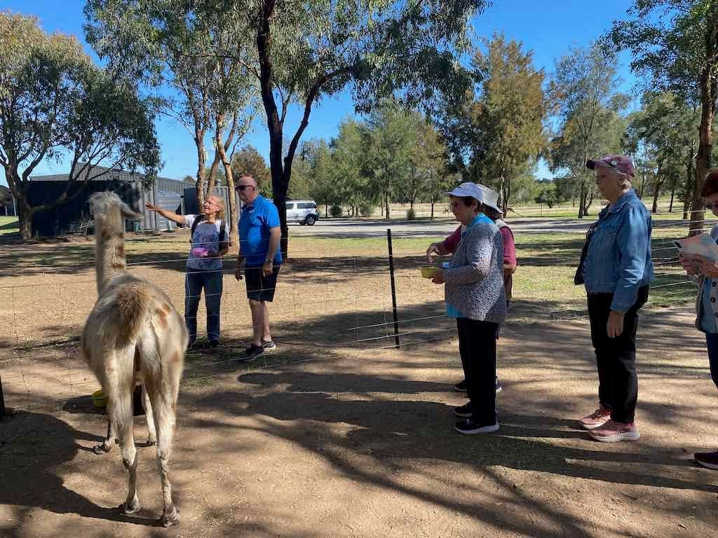 Melbourne Garden Show : 2026 Image -69d9c12d87e39