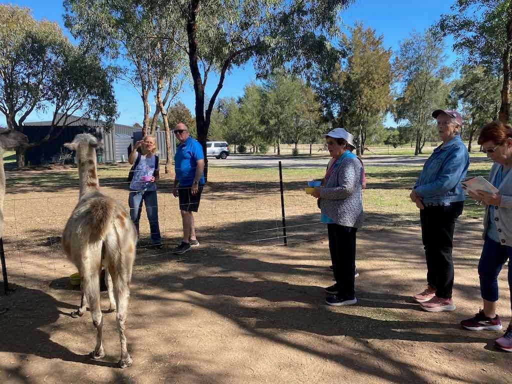 Melbourne Garden Show : 2026 Image -69d9c12dda23c