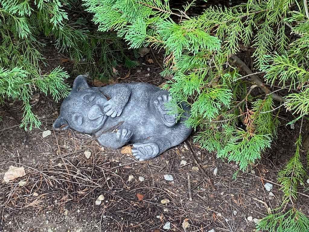 Melbourne Garden Show : 2026 Image -69d9c1325d75b