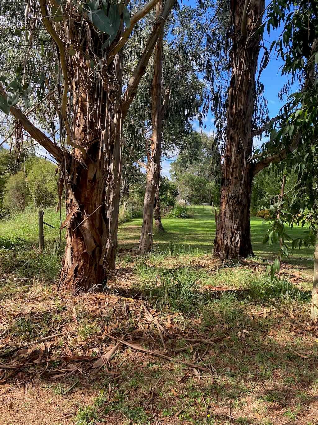 Melbourne Garden Show : 2026 Image -69d9c134c0af8