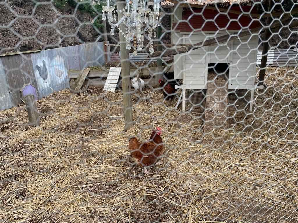 Melbourne Garden Show : 2026 Image -69d9c13cc6655