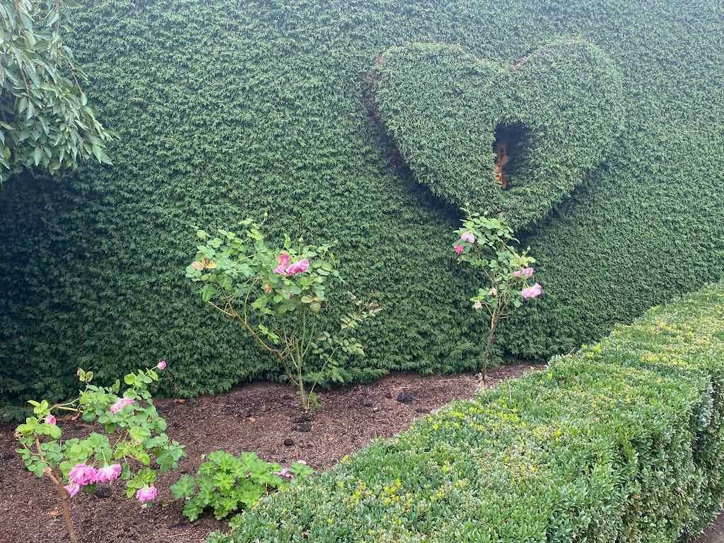 Melbourne Garden Show : 2026 Image -69d9c13d2a38f