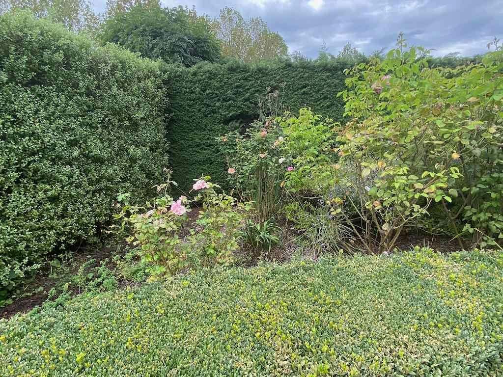 Melbourne Garden Show : 2026 Image -69d9c13dd31cb