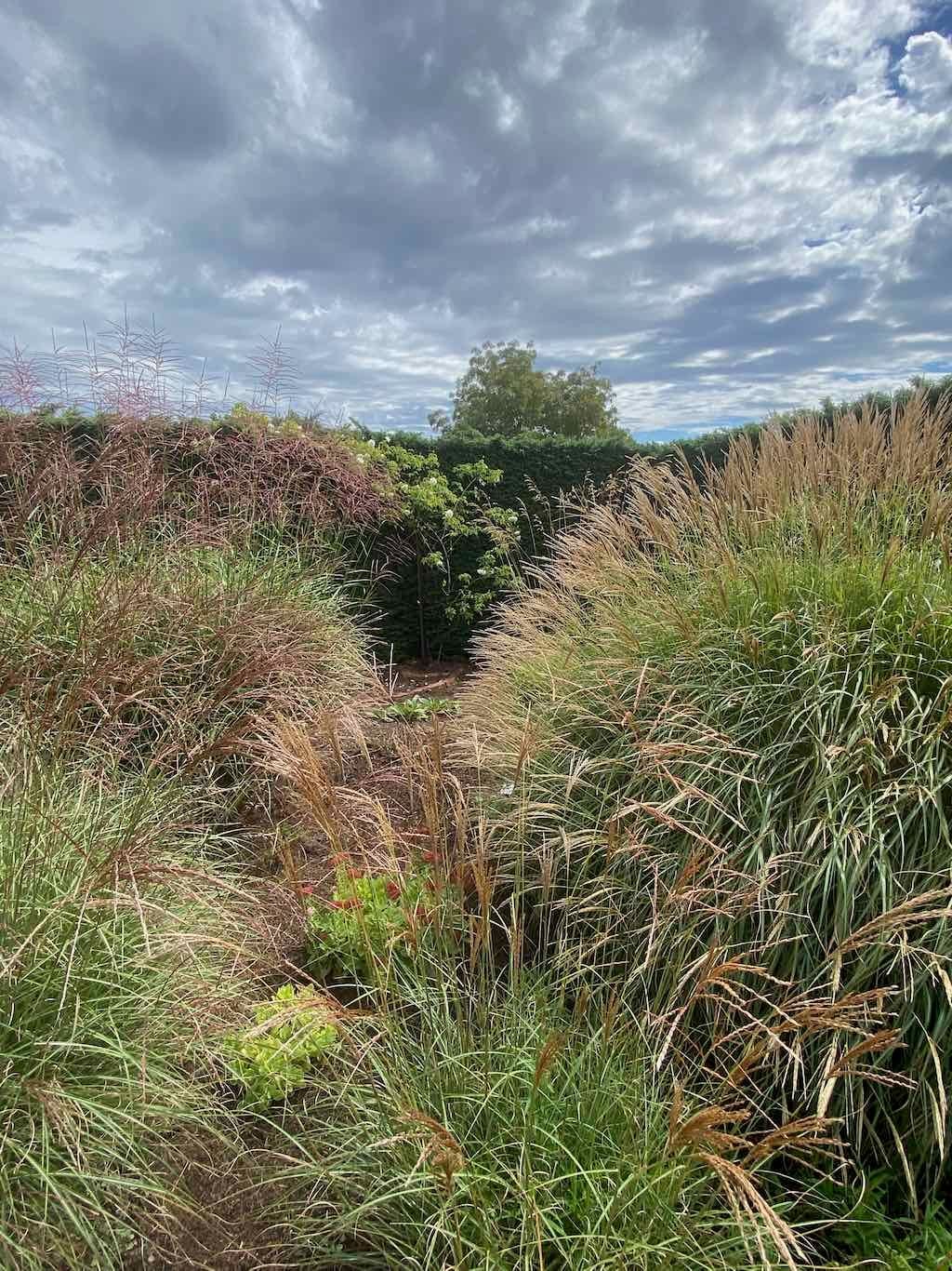 Melbourne Garden Show : 2026 Image -69d9c1402304a