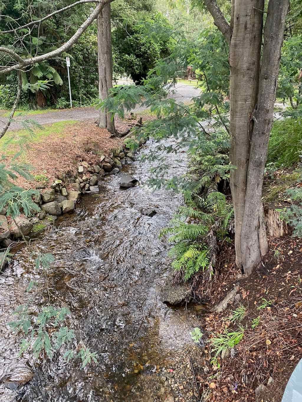 Melbourne Garden Show : 2026 Image -69d9c14941ad5