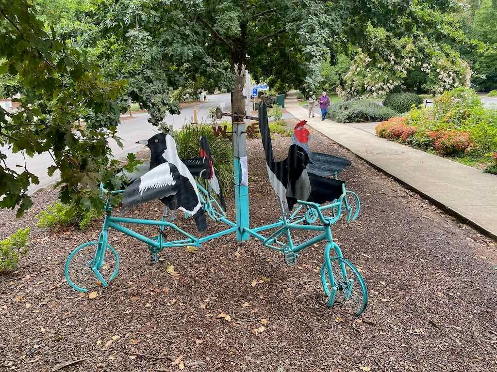 Melbourne Garden Show : 2026 Image -69d9c14b9cfdc