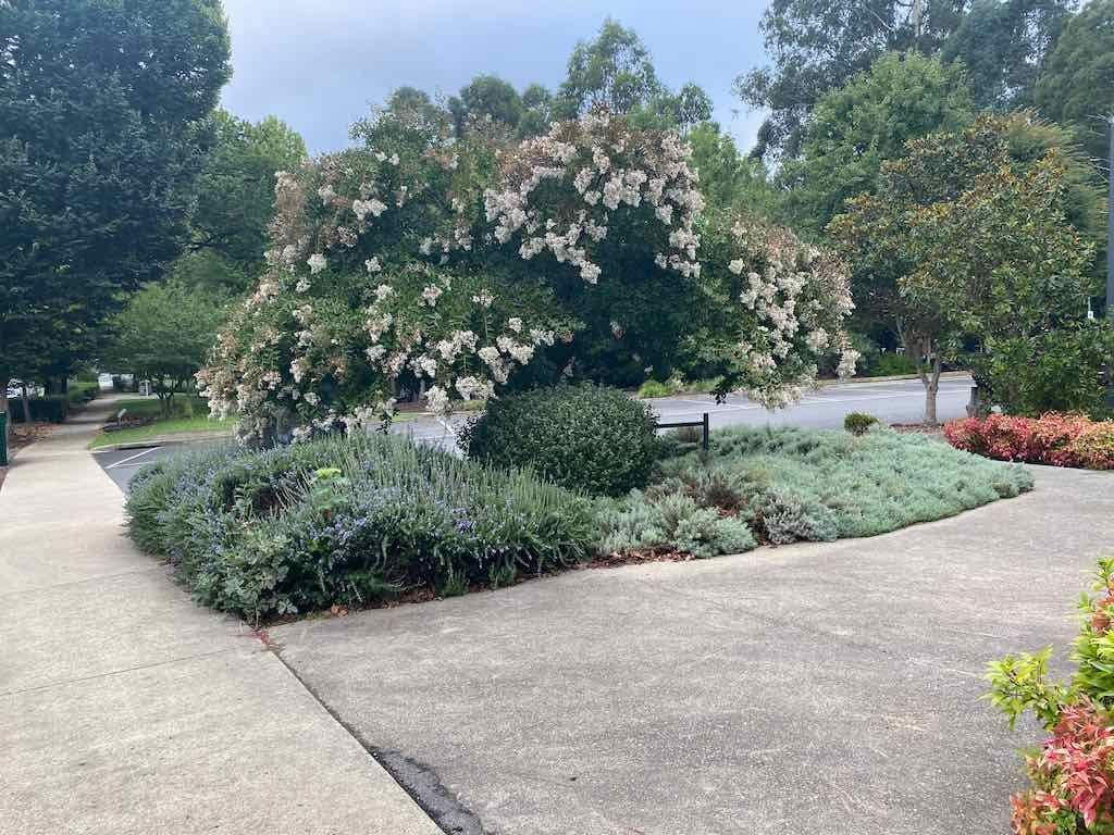 Melbourne Garden Show : 2026 Image -69d9c14be92b9