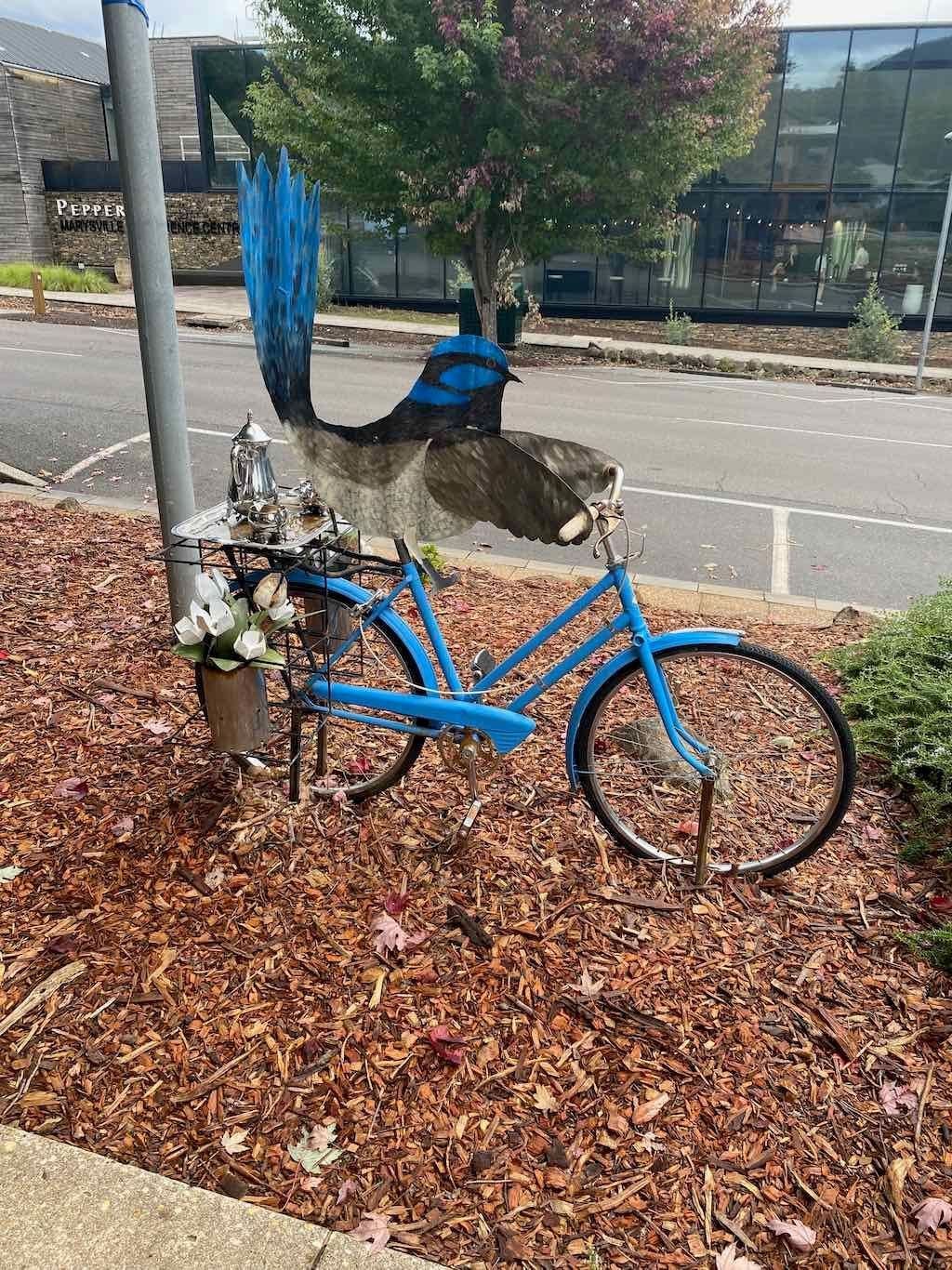 Melbourne Garden Show : 2026 Image -69d9c14c9d323