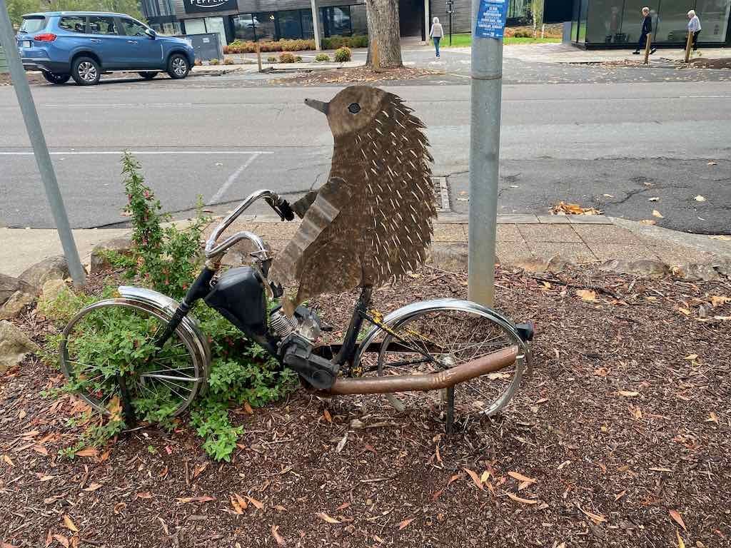 Melbourne Garden Show : 2026 Image -69d9c14cec9f6