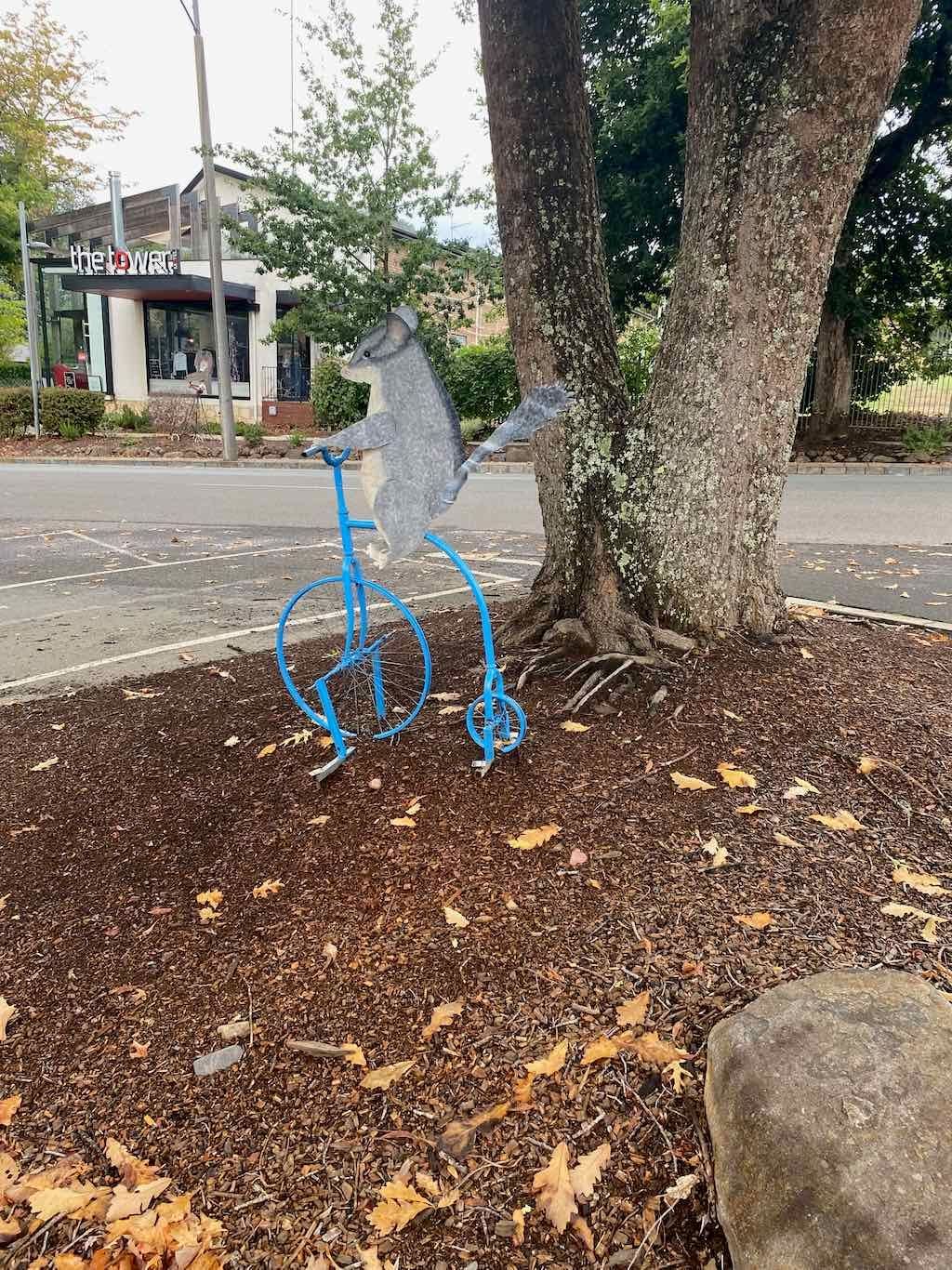 Melbourne Garden Show : 2026 Image -69d9c14d99354