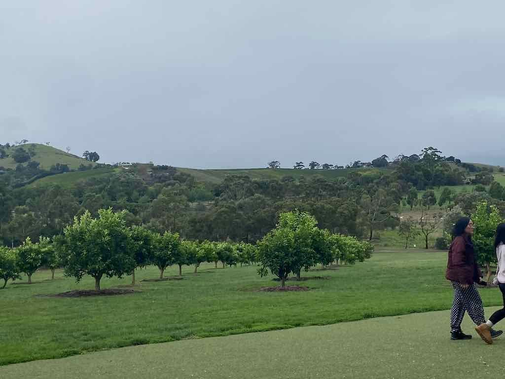 Melbourne Garden Show : 2026 Image -69d9c14feb5b5