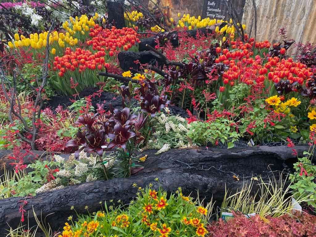 Melbourne Garden Show : 2026 Image -69d9c154be174