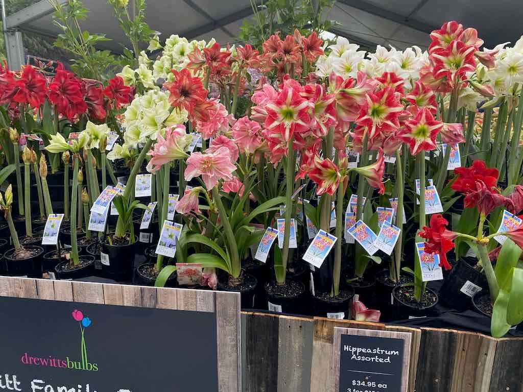 Melbourne Garden Show : 2026 Image -69d9c1552faad